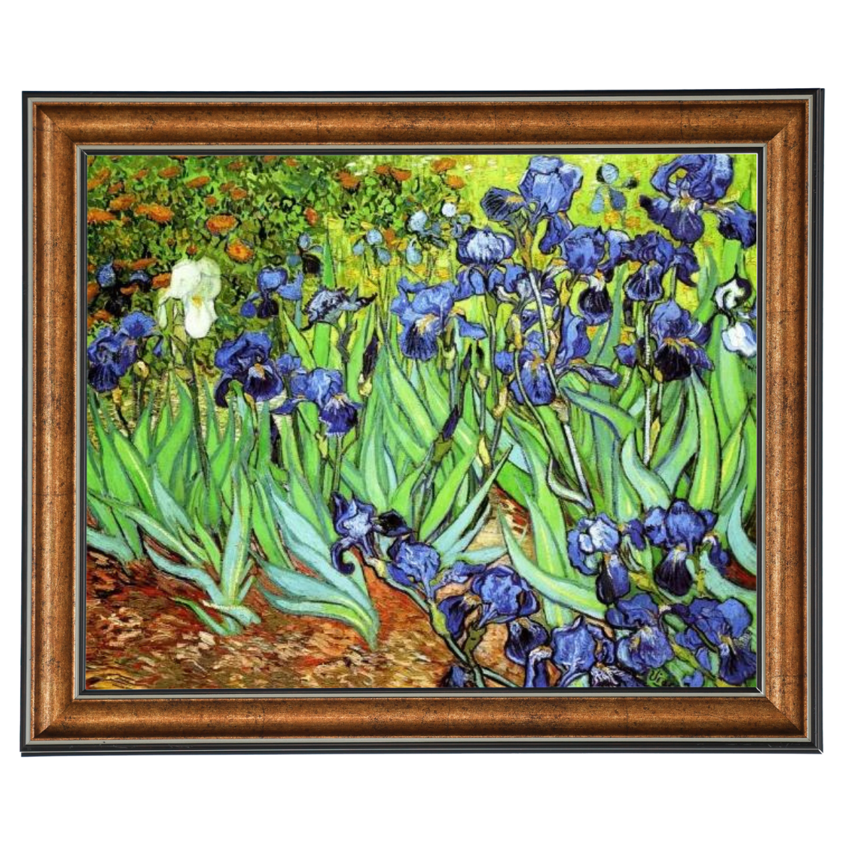 Iris II-Blumen Wandkunstdrucke Dekor für Wohnzimmer