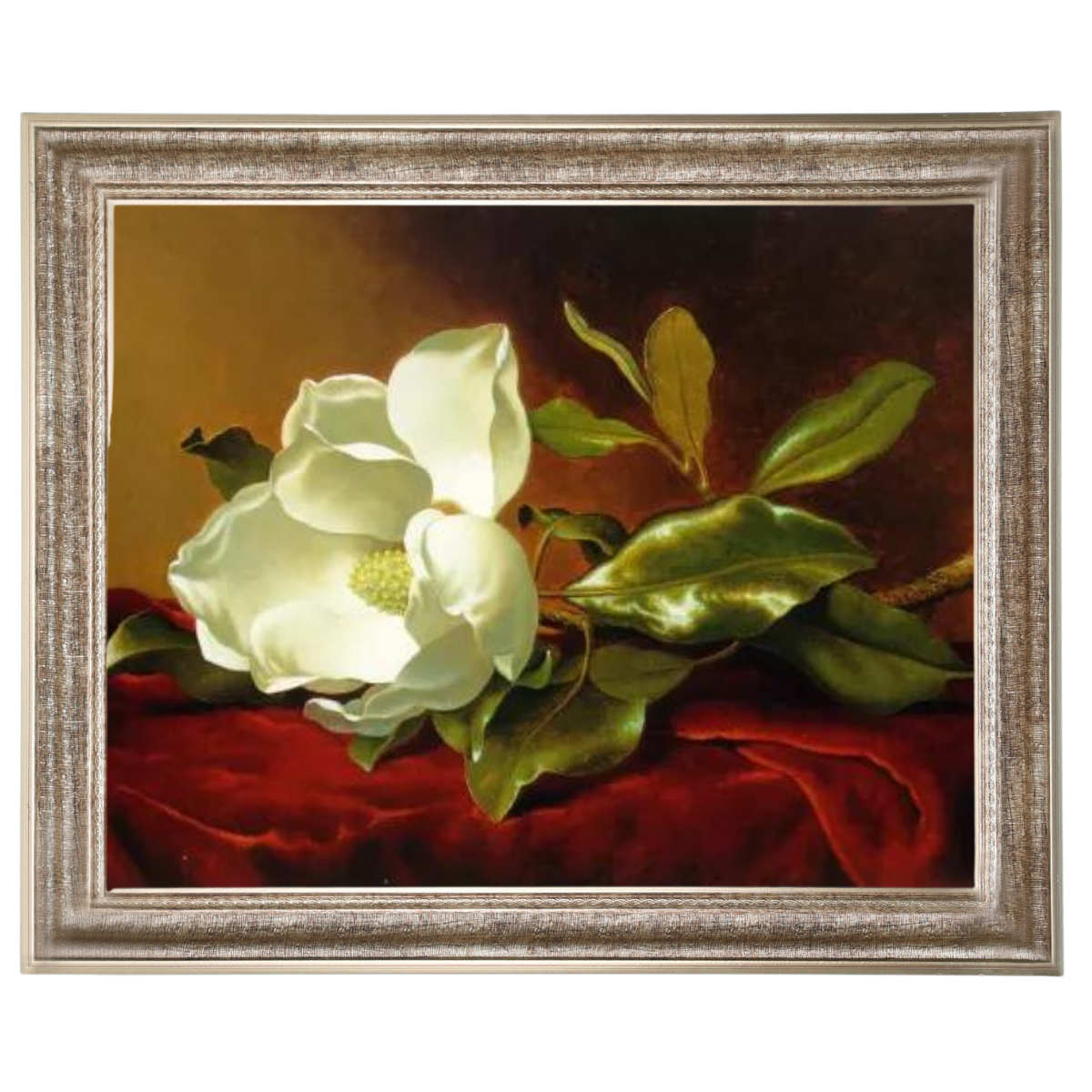 A Magnolia on Red Velvet- Romantisch Wandkunstdrucke Dekor für Wohnzimmer