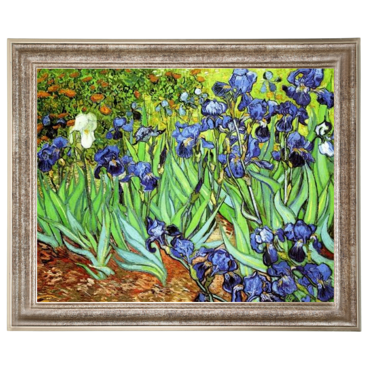 Iris II-Blumen Wandkunstdrucke Dekor für Wohnzimmer