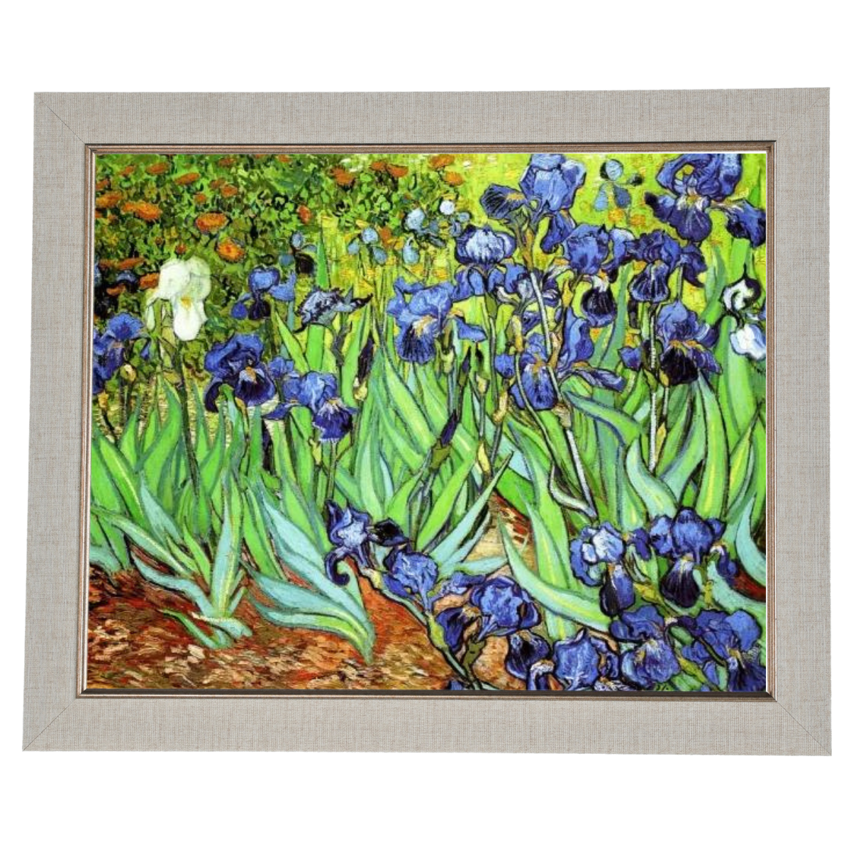 Iris II-Blumen Wandkunstdrucke Dekor für Wohnzimmer