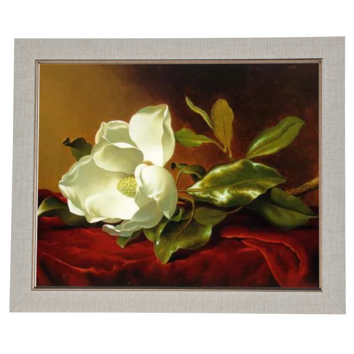 A Magnolia on Red Velvet- Romantisch Wandkunstdrucke Dekor für Wohnzimmer