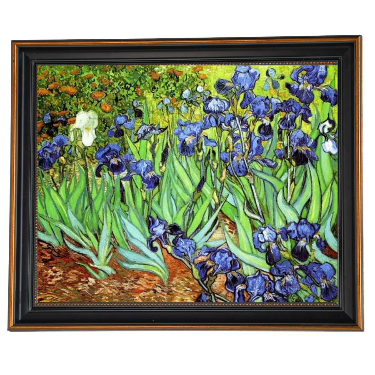 Iris II-Blumen Wandkunstdrucke Dekor für Wohnzimmer