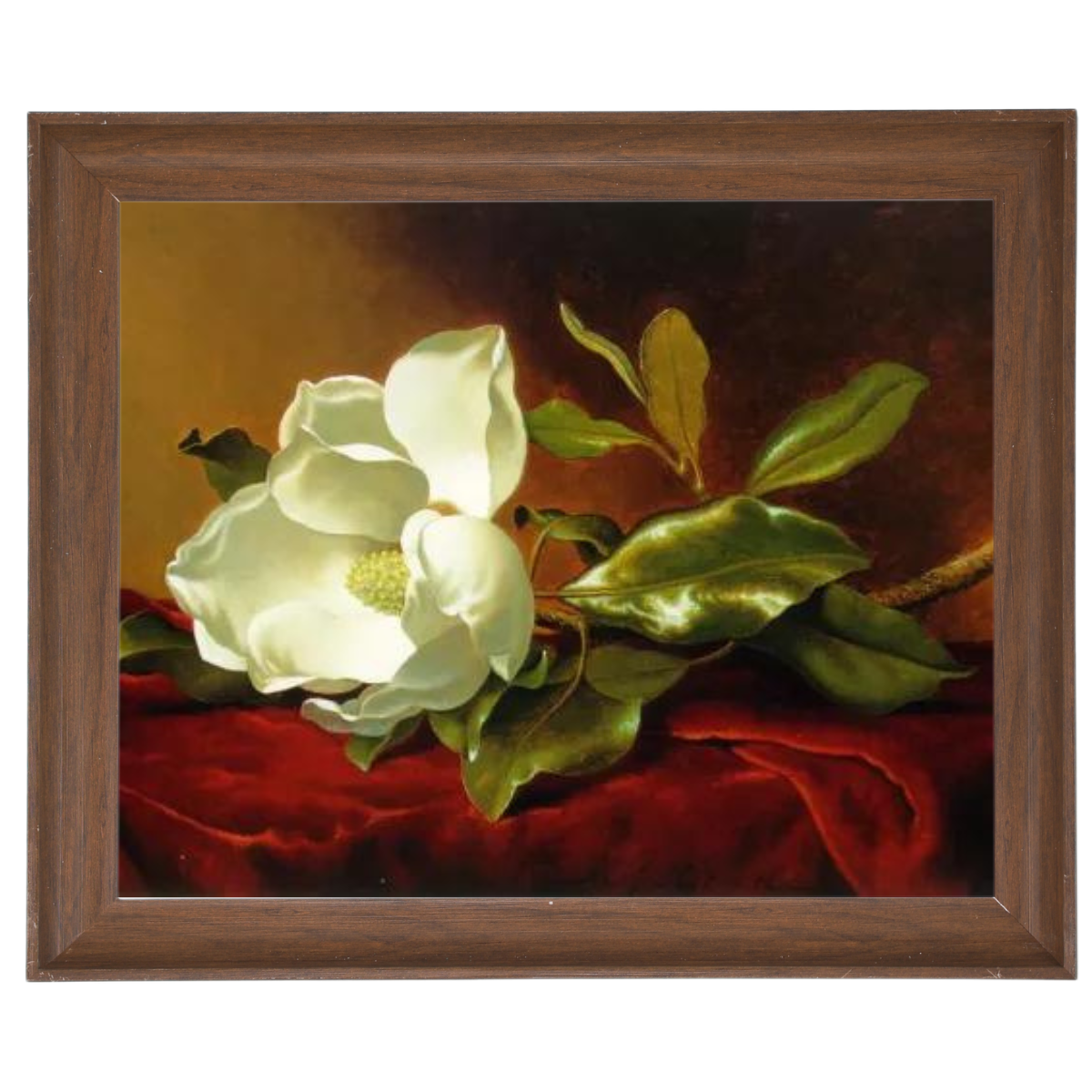 A Magnolia on Red Velvet- Romantisch Wandkunstdrucke Dekor für Wohnzimmer