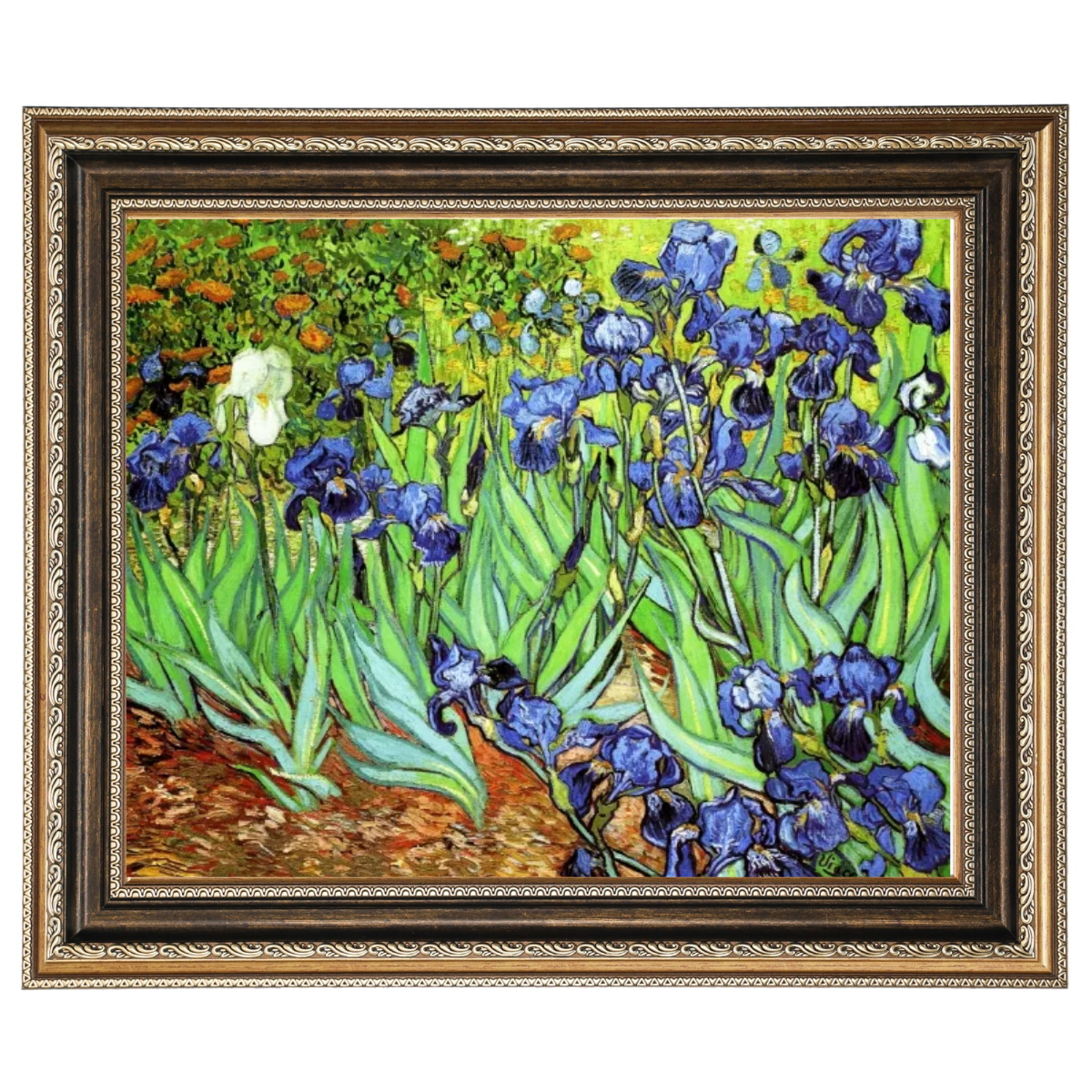 Iris II-Blumen Wandkunstdrucke Dekor für Wohnzimmer