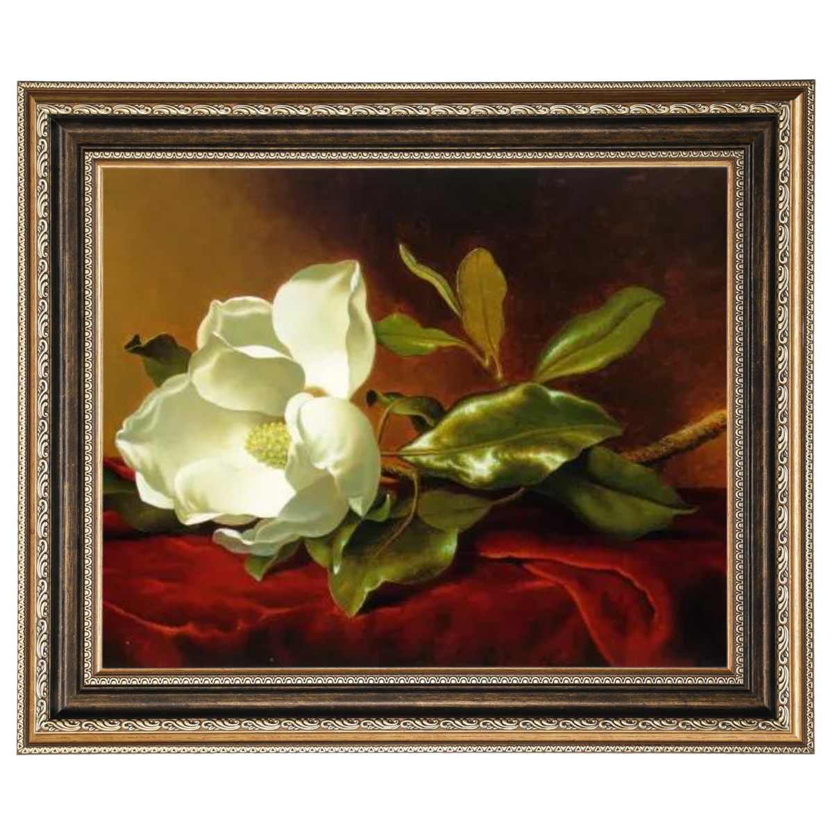 A Magnolia on Red Velvet- Romantisch Wandkunstdrucke Dekor für Wohnzimmer